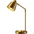 Metal LED Desk Lamp Dual USB Swivel Arm 3000K