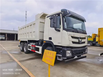 30 Ton 340HP Foton Dump Truck