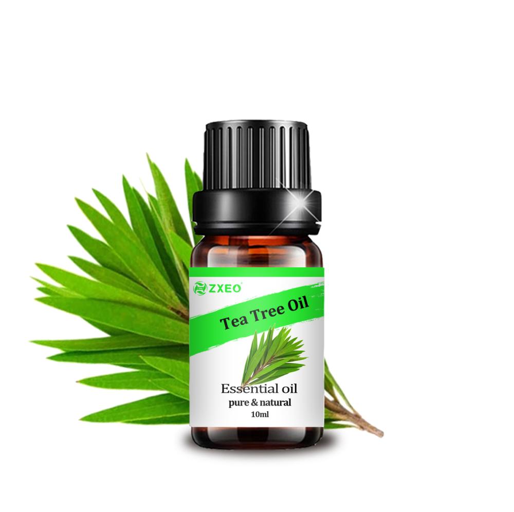 natural pure aromatheraphy Tea tree Essential oil for skin care