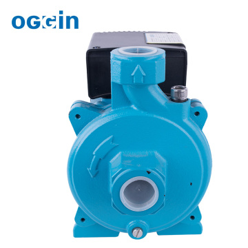 Horizontal Automatic Hot Water Circulating Domestic Water Booster Centrifugal Pump 220V System