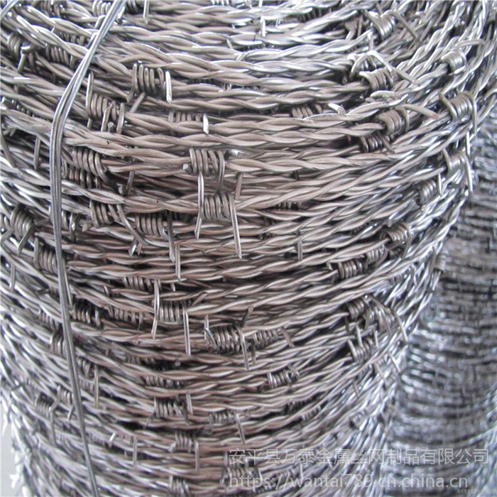 Stainless Steel Double Twist Barbed Wire Fence