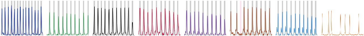 Sanger Sequencing Instrument 2