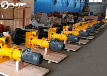 TP250SV Vertical Cantilever Pump