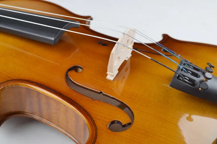 Tayste Violin R80s Solid Wood 11