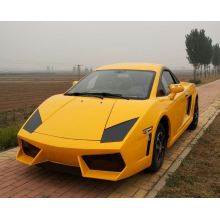 pure electric sport car for adult
