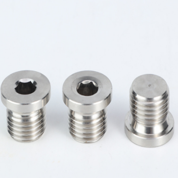 Hex Socket cylinder Pipe Plugs Screw