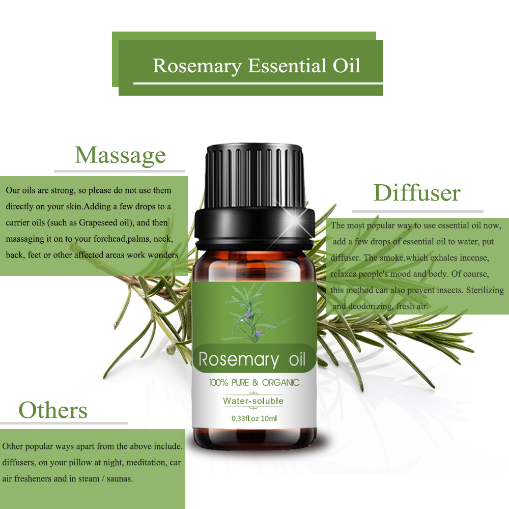 Venta caliente de 10 ml Pure Natural Plant Rosemary Oil esencial