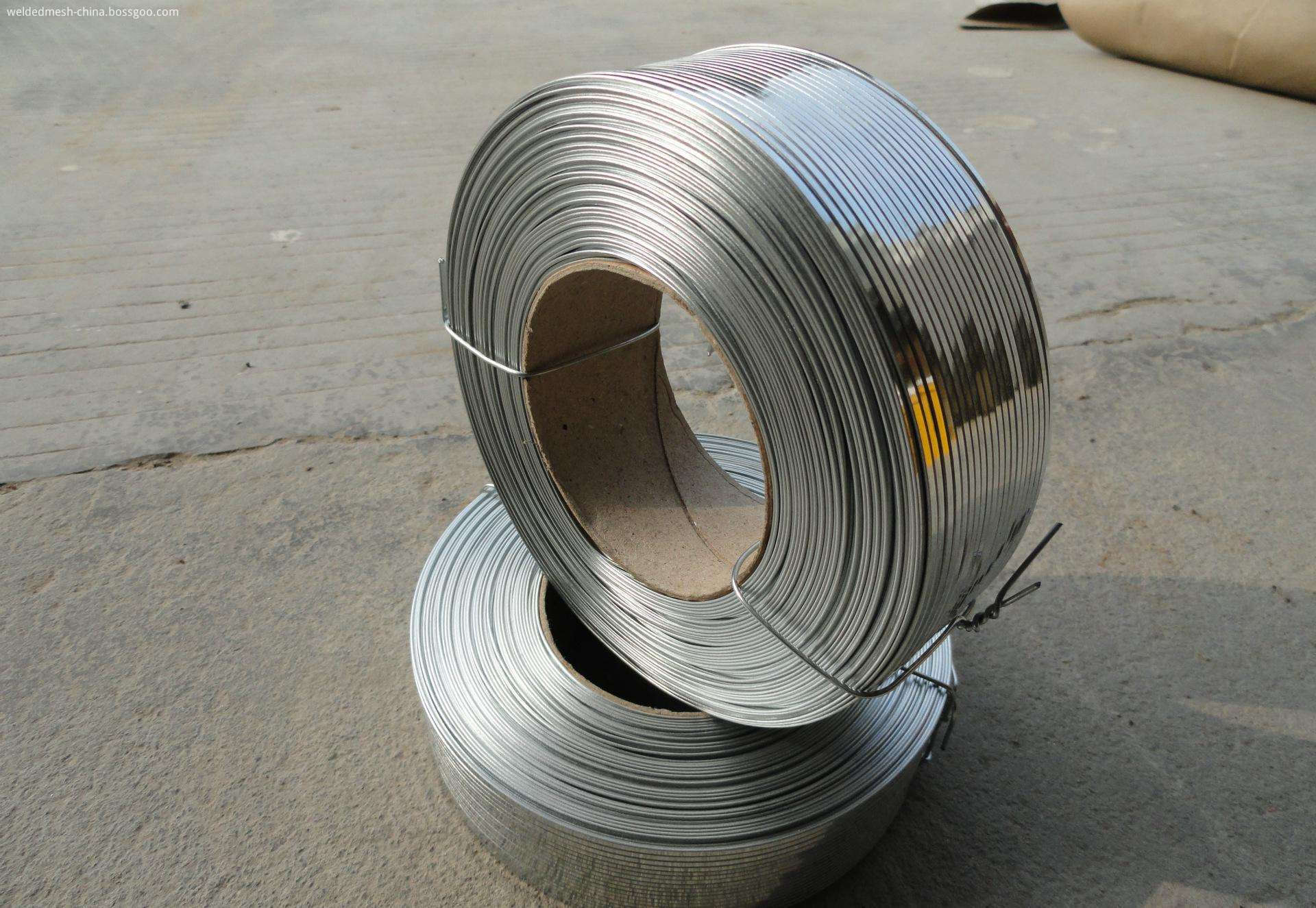 304L Flat Stainless steel wire (1)