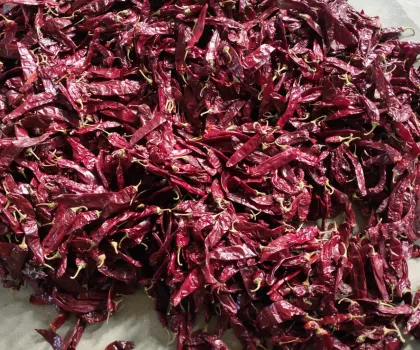 Red Chilli Dried Paprika whole