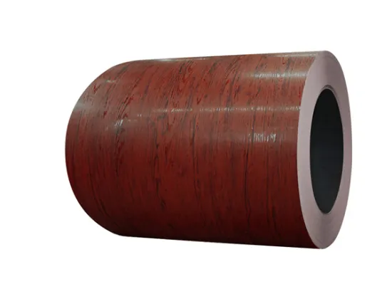 Steel door sheet and coil