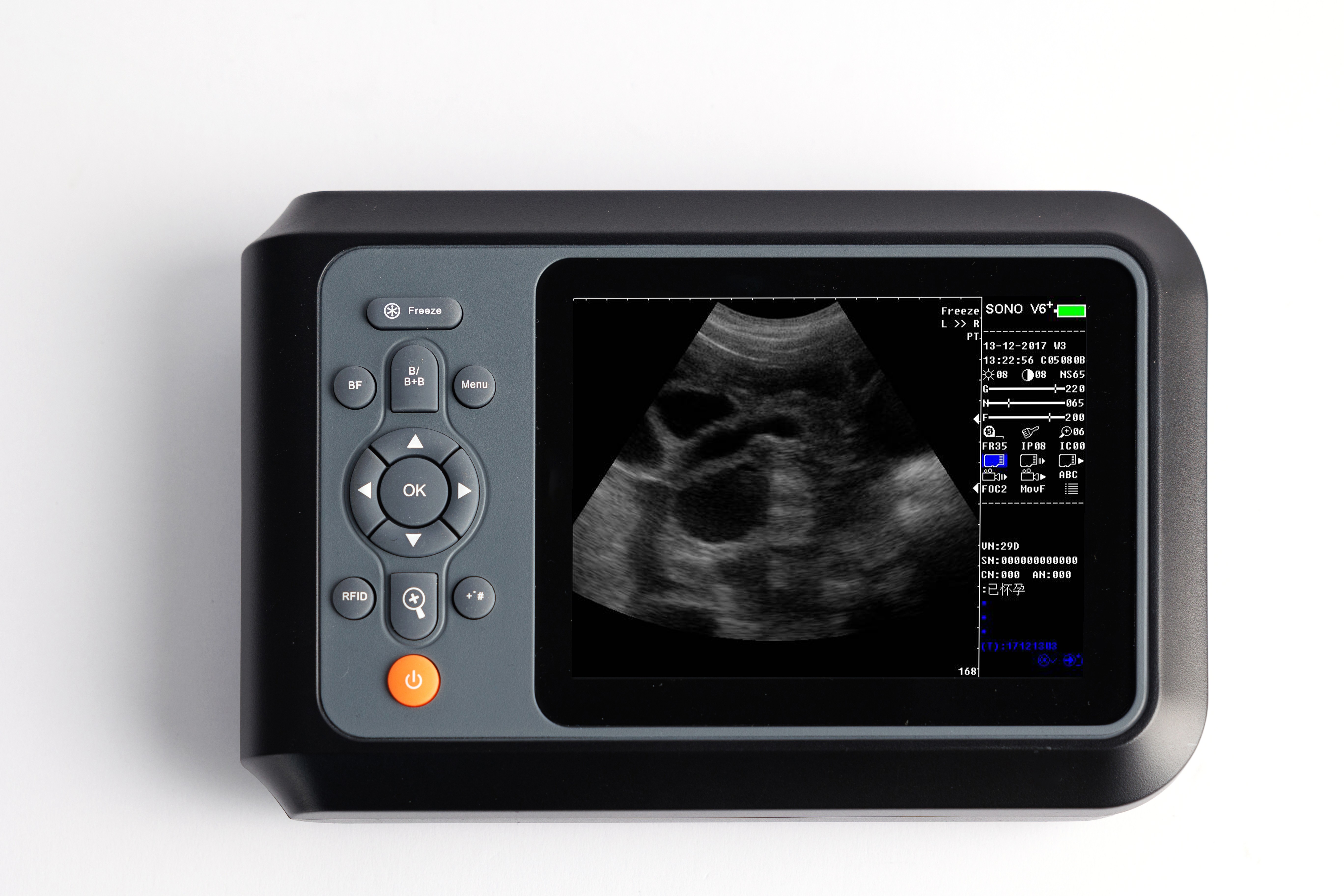 vet ultrasound