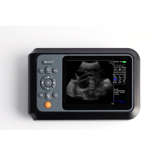 sheep pregnancy ultrasound equipment