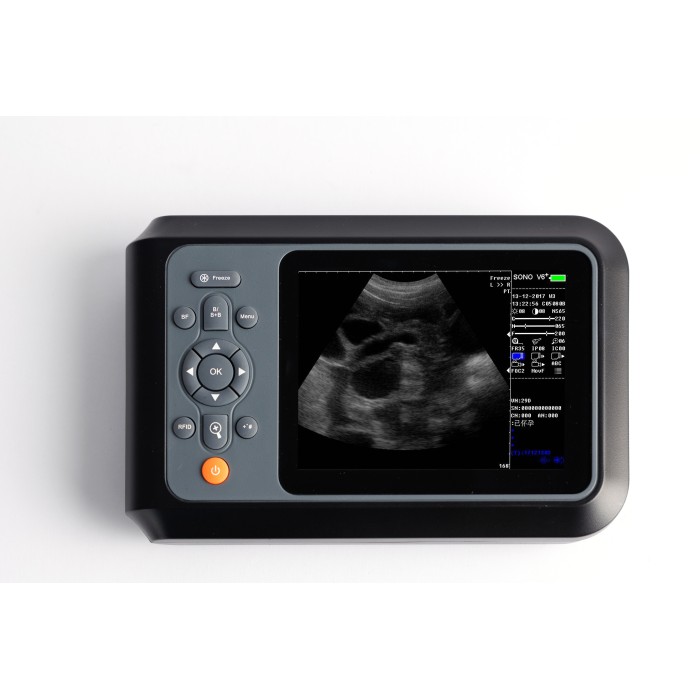 sheep pregnancy ultrasound equipment