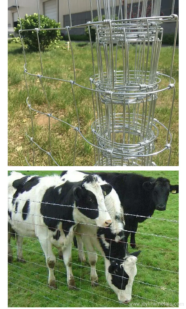 Knot Fixed-knot Game Field Fence