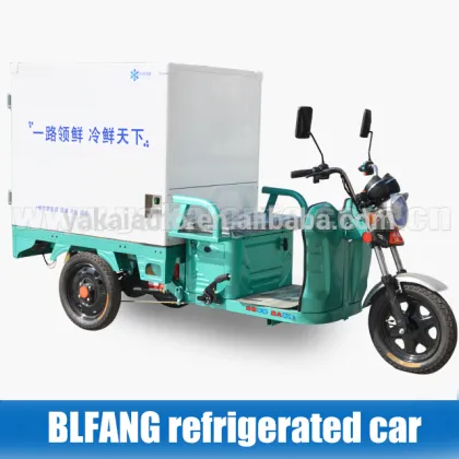 electrical reefer piaggio ape/ tuk-tuk/ tricycle for vegetable transportation