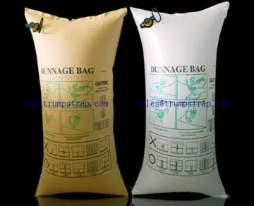 container air bag