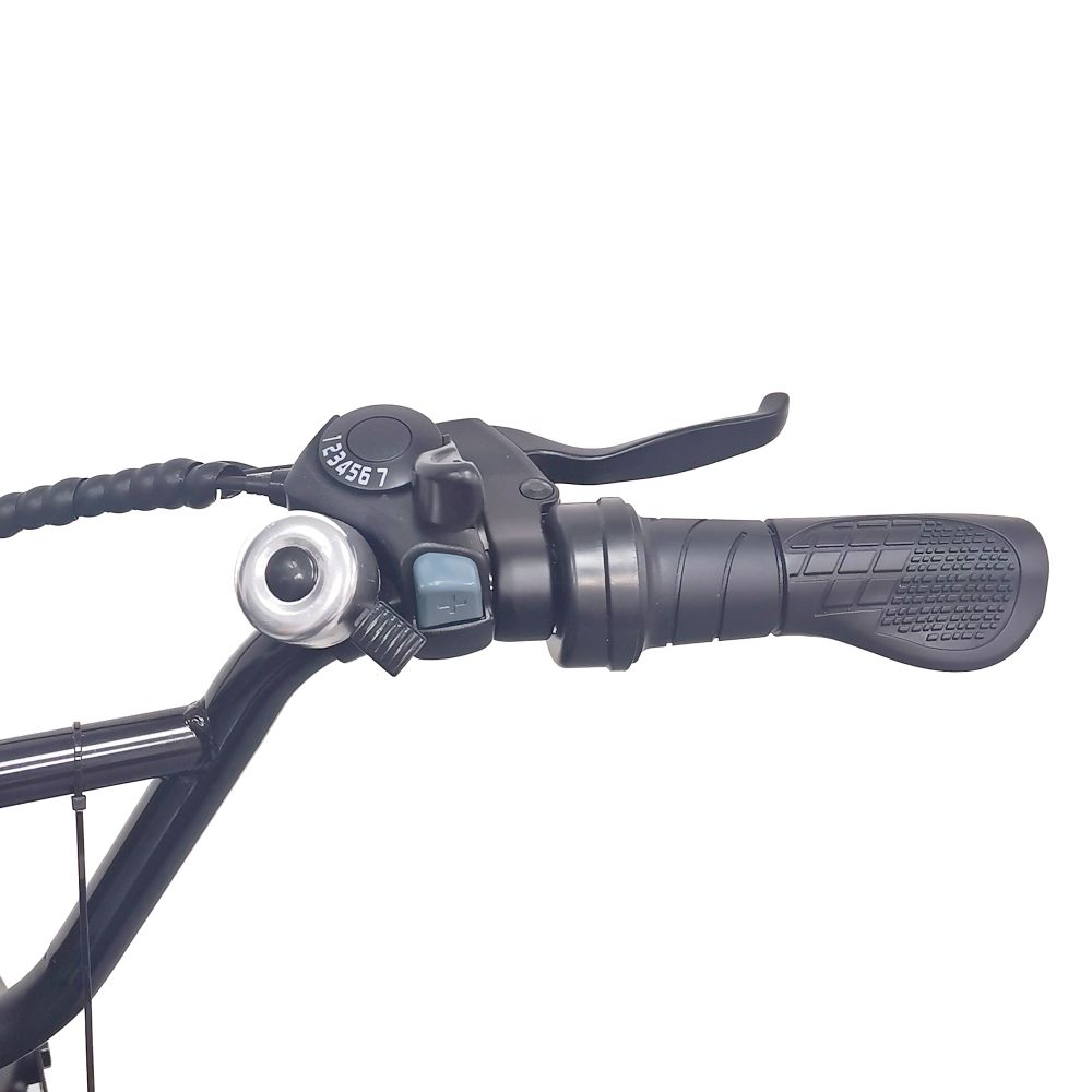 Gofunow Electric Bike Motorcycle 10 Jpg