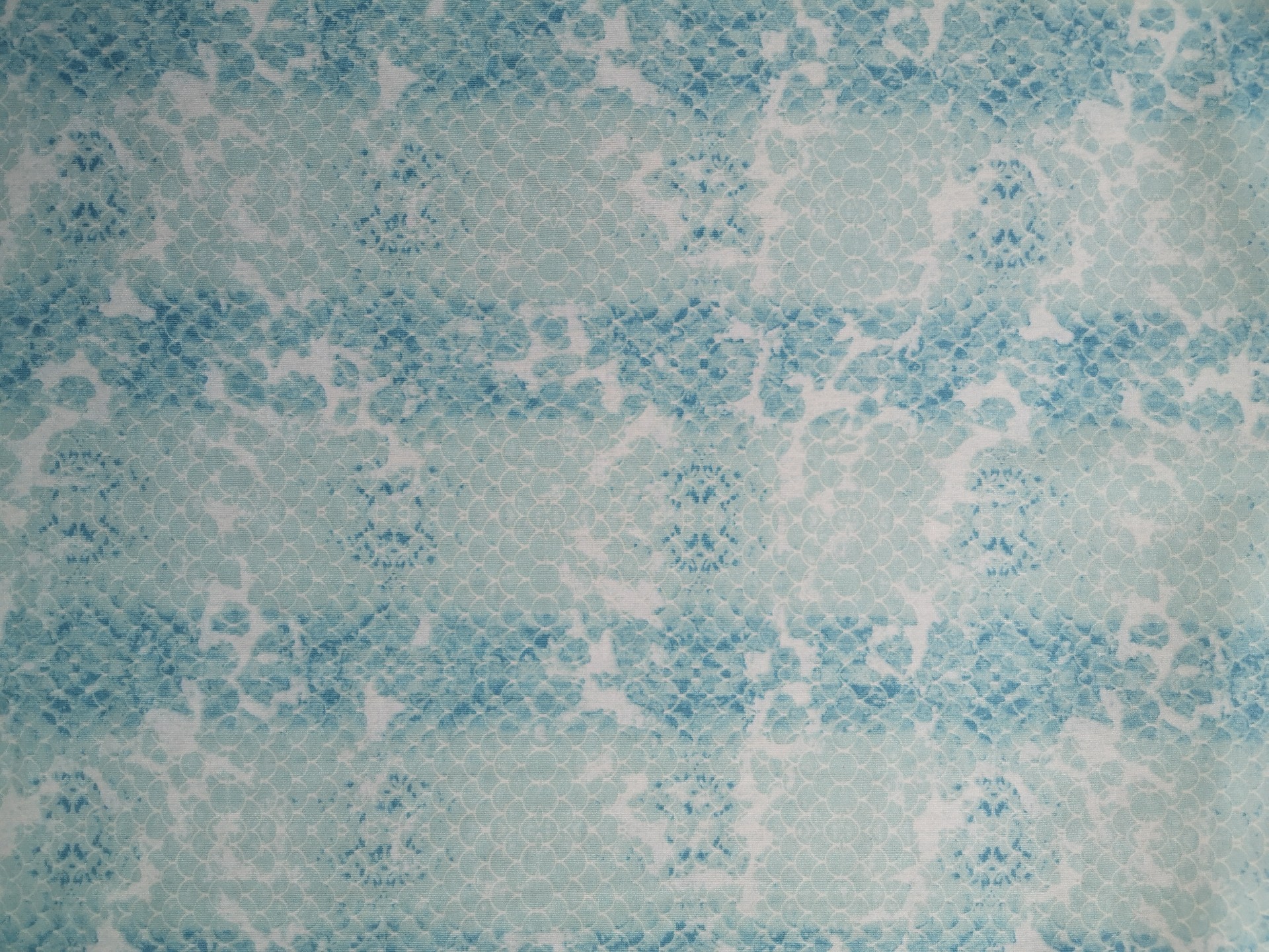 Polyester ammonia knitted dyed fabri