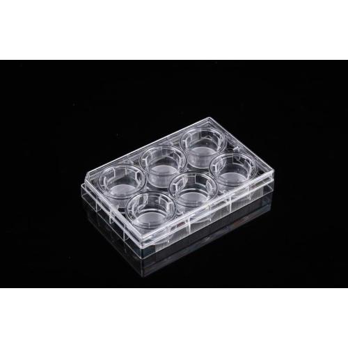 PET Memberane Cell Culture Inserts for 6-well Plates