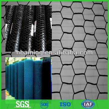 Choose us!!!!!! cheap chicken wire,chicken wire for sale (anping factory)