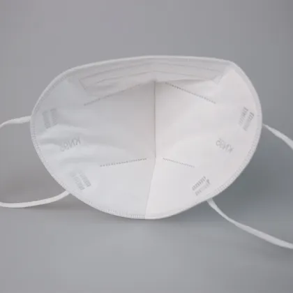 Protection Safety Mask n95 Certified Face Mask