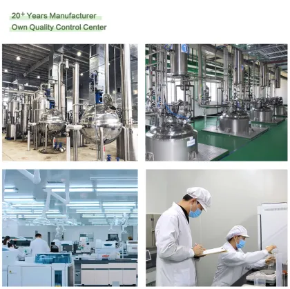 Blackcurrant Extract for Antioxidant Benefits