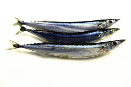 Frozen Pacific Saury For Sale