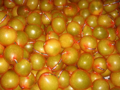 Best Fresh Pinghe Pomelo Grapefruit for Health