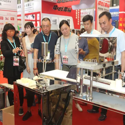 automatic leibniz biscuits machine st-501 in China Asia