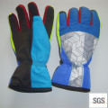 Custom Wholesale OEM Snow Winter Ski Gloves