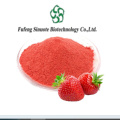 Premium Fragaria Ananassa Extract with Anthocyanins and Vitamin C
