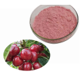 Price fruit Extract Pure Wild Cherry Extract Powder