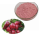 Price fruit Extract Pure Wild Cherry Extract Powder