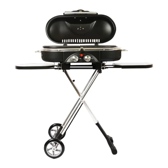 custom new design camping outdoor barbecue bbq grill portable griller charcoal for outdoor cooking