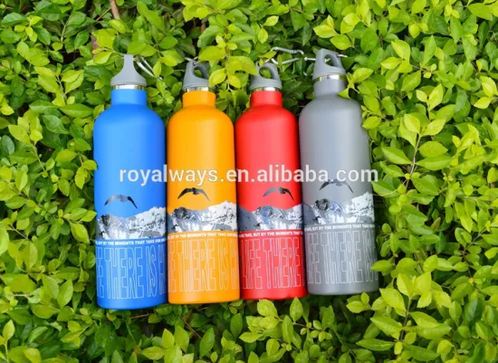 550ml Double Wall Vacuum Insulated 18/8 Stainless Steel Water Bottle