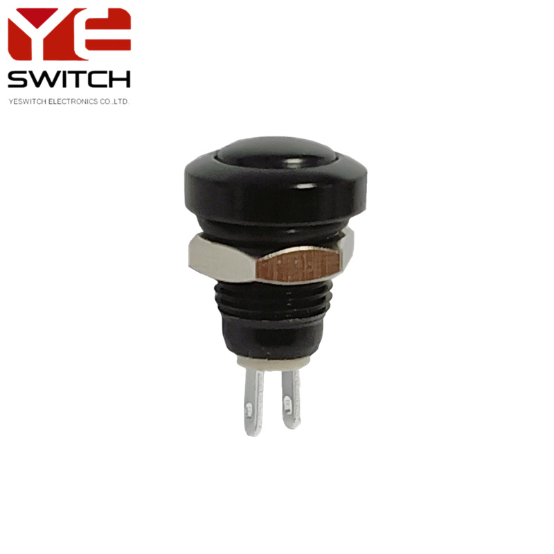 Metal Push Button Switch (1)