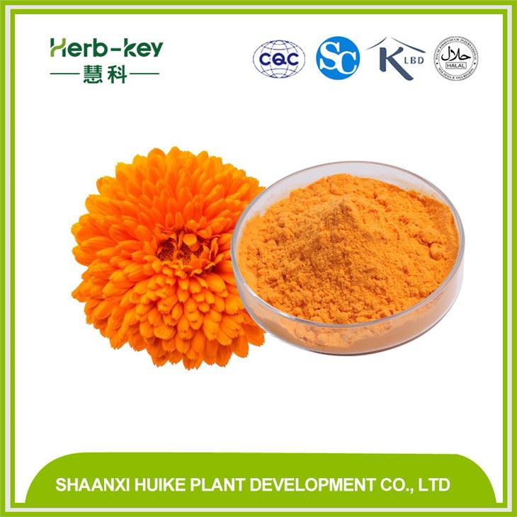 Lutein-Extrakt-Marigold-Extrakt Luteinpulver 5% -20% HPLCC