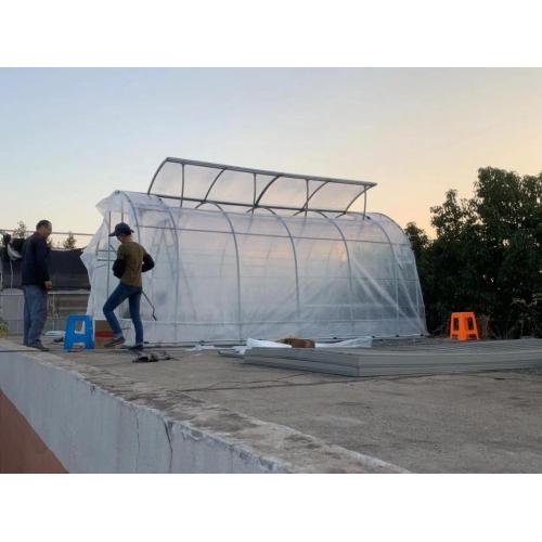 Best-selling Plastic Film Greenhouse for Flowers Agriculture