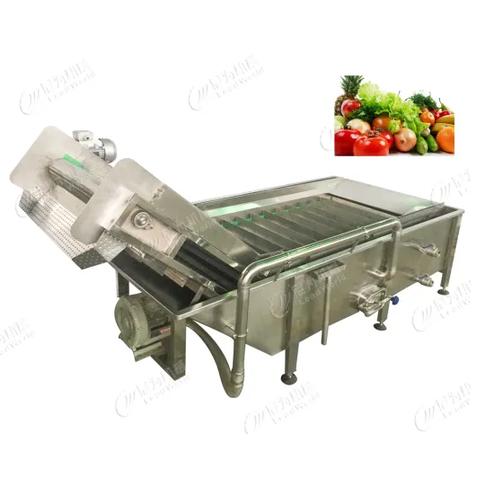 Leadworld Automatic Fruit and Vegetable Washing Cleaning Machine