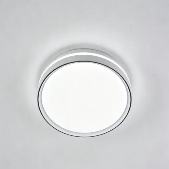 Smart style ceiling lighting