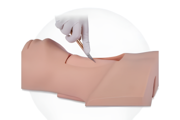 Tracheotomy Procedure Training Model