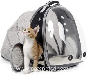 cat-backpack