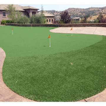 Turf Grass for Golf Course