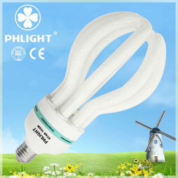 PHLIGHT 220v E27 4U CFL lotus energy saving lamp China