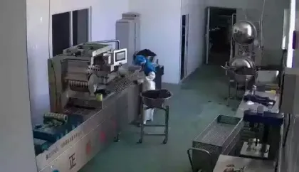 Rye Bread Vacuum Packing Machine