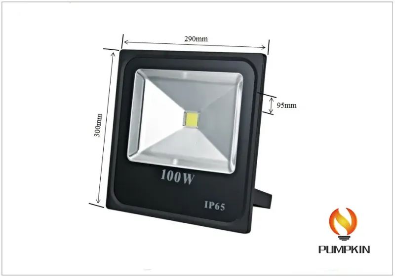 Quality Assurance IC Driver 100W LED Flood Light