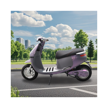 Factory Price 1000W Electric Motorcycle - Powerful Two-Wheel Moped for Adults
