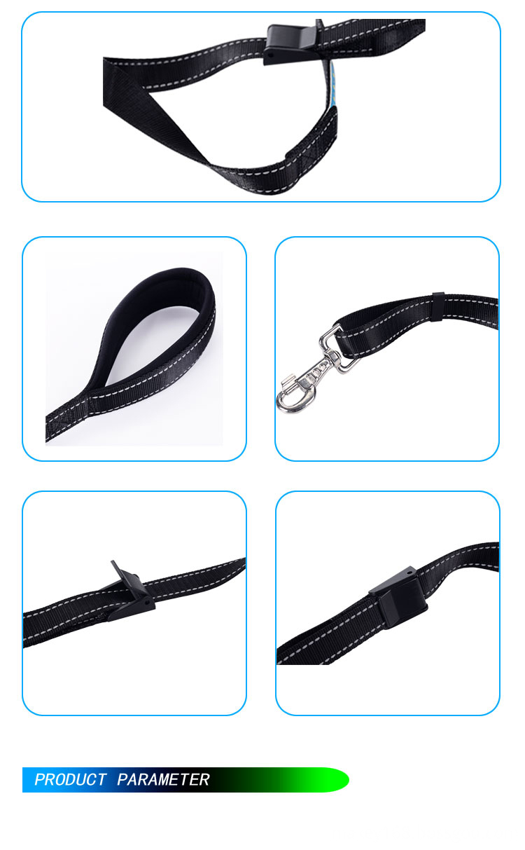 Glowing Dog Leash