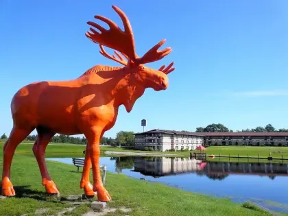 Outdoor Decorative Fiberglass Moose Sculpture