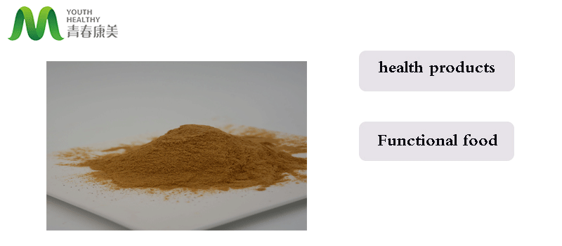 Corn-Silk-Extract1